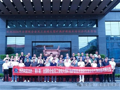 Visits And Exchanges, Uniting Our Strengths, And Jointly Creating A New Futur...